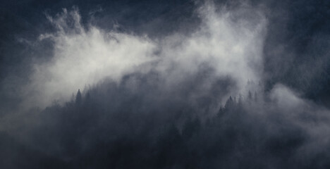 Scenic view of hills covered with green pine forests in a foggy weather