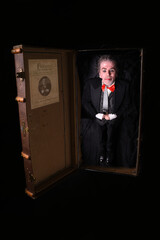 Vertical photo of the white Caucasian artist Fred Moore as creepy doll in a box, Canada