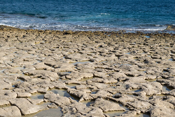 Limestone wave-cut platform along coast of Delimara - coastal weathering, erosion, cliff recession.
