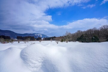 マキノ高原で見たたくさんの雪が積もった冬の情景＠滋賀