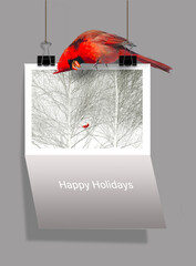 For the Christmas holiday a red cardinal sits atop of Christmas card that features a cardinal in a photograph. The card reads Happy Holidays.
