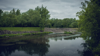 Closeup of a river in a forest