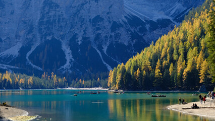 View of Braies lake and dense forest at the foot of the dolomites in Italy - obrazy, fototapety, plakaty
