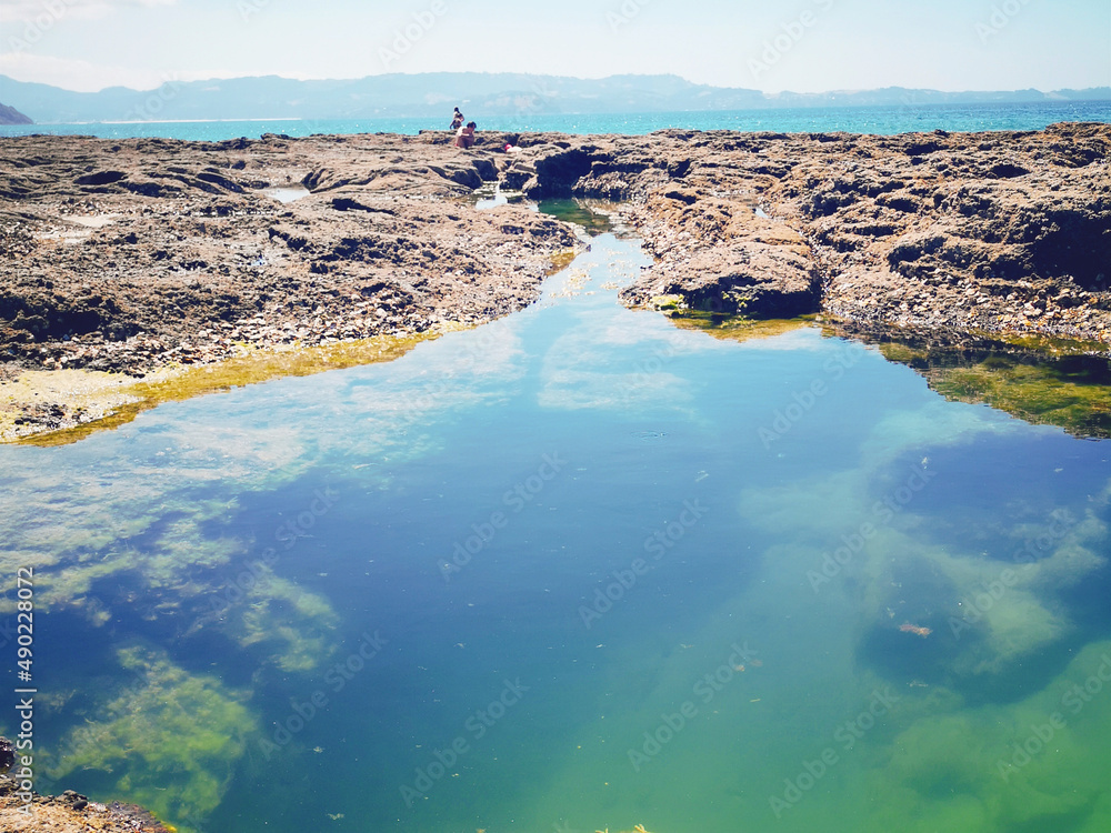 Sticker Beautiful shot of natural rock pools of the Anchor Bay in Auckland, New Zealand