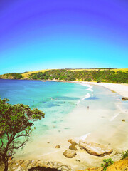 Vertical shot from the top of the people swimming in a clear blue sea in Anchor Bay, Auckland