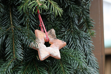 Closeup of a cookie ornament hanging on Christmas tree branches outdoors