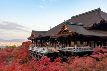[京都]紅葉の清水寺舞台の風景