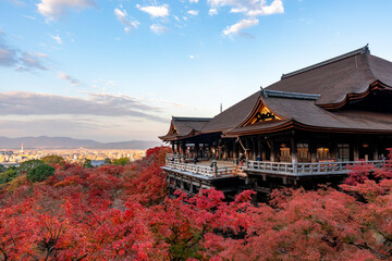 Obraz premium [京都]紅葉の清水寺舞台の風景