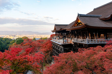 [京都]紅葉の清水寺舞台の風景