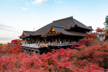 Obraz premium [京都]紅葉の清水寺舞台の風景