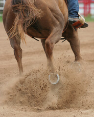 Back view of a galloping horse at rodeo