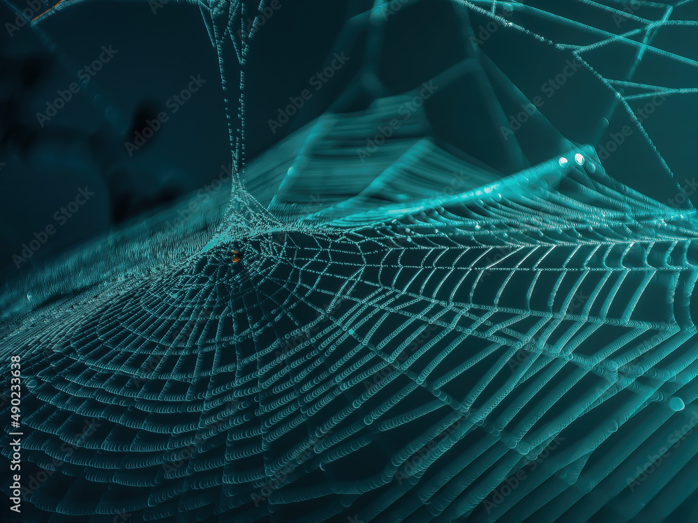 Poster macro shot of a spider web with droplets on it