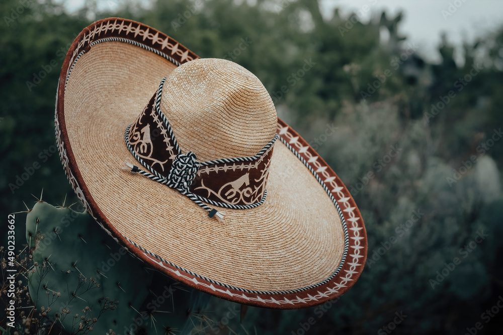 Sticker close-up shot of an elegant charro hat hanging from a cactus