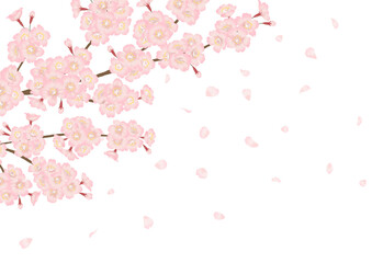 舞い散る桜の花のベクター素材