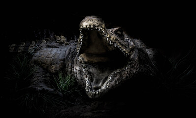 3d rendering of a crocodile