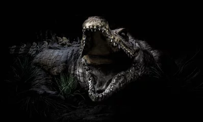  3d rendering of a crocodile © Jeannette Arocho/Wirestock