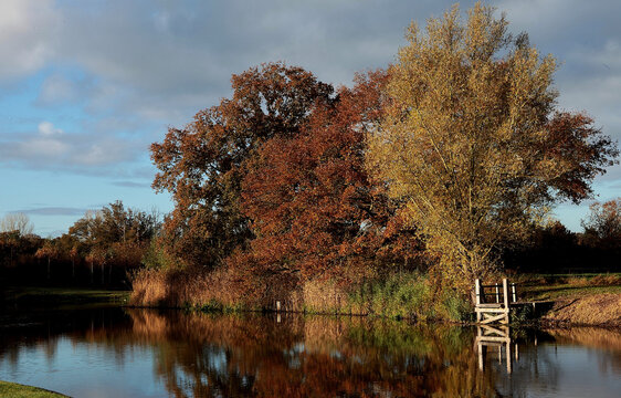 Beautiful view along the river the Regge near the town of Hellendoorn in Twente the Netherland