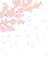 舞い散る桜の花のベクター素材
