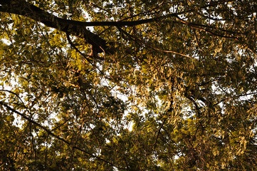 Sunset at Nehru Park, situated in the Chanakyapuri Diplomatic Enclave of New Delhi, India