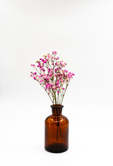 Dry flowers in an old pharmacy jar, now used as a vase on a white background.