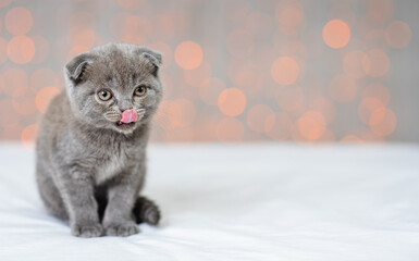 A gray kitten sitting on a background of lights licks its nose