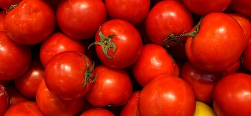 tomatoes