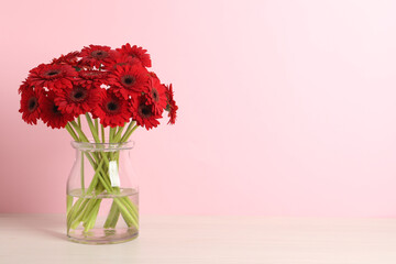Bouquet of beautiful red gerbera flowers in glass vase on pink background. Space for text