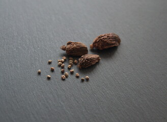 Black cardamon dried fruits and seeds (brown cardamom, Amomum subulatum) on grey stone background