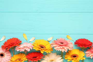 Beautiful colorful gerbera flowers and petals on turquoise wooden table, flat lay. Space for text