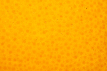 Orange peel skin extreme close up background