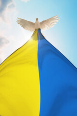 White Dove holding Ukraine flag Flying on blue sky to independence , freedom ,Pray for Ukraine and...