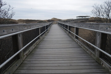 Fototapeta premium bridge over the river