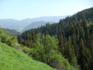 Landscape in mountain and some very old houses 