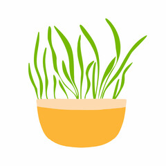  Pot of microgreens. Microgreens peas, radish, onion, arugula. sunflower, beets and others. Vector illustration isolated on white background. Drawn style.
