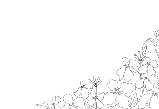春の草花が咲いている白黒風景線画イラスト　はがきサイズ横型