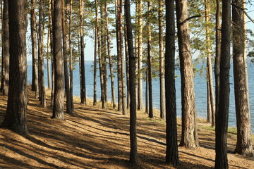 осенняя природа в сибири на реке обь