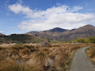 Stunning view, South Island, New Zealand