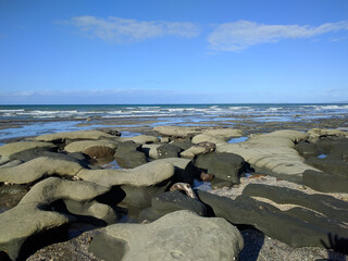 Fototapeta na wymiar Rocky coastline, sea and blue sky on background, Long Bay, New Zealand.