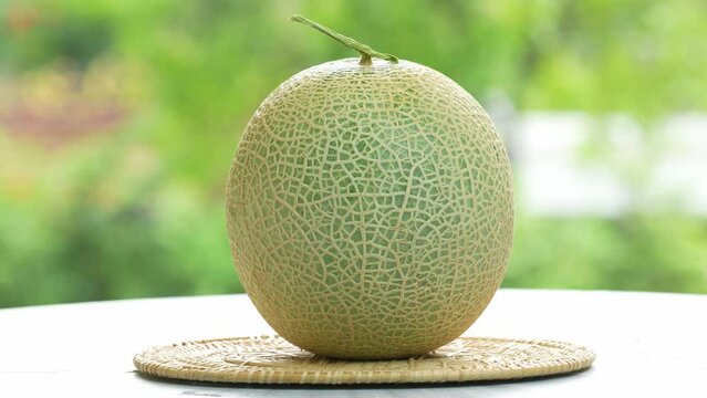 Green Melon on blurred greenery background, Cantaloupe Melon fruit in Bamboo mat on wooden table in garden.	
