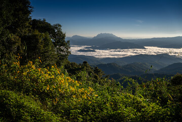 mountains in the morning