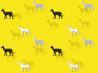 Animal Cat Sphynx Various Coat Seamless Wallpaper Background