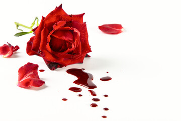 Image with a red rose