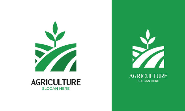 Nature logo design with agriculture field and plant concept