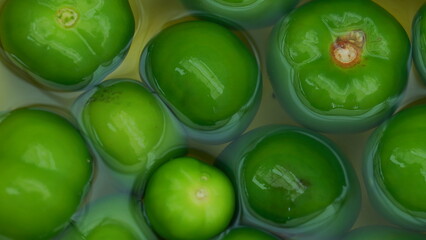 Tomate