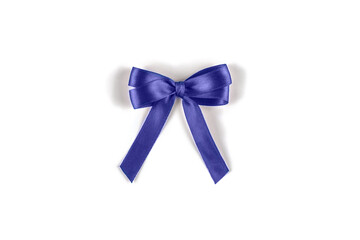 Blue silk gift bow isolated on white.