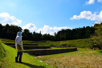 田んぼを見つめる農家の女性
