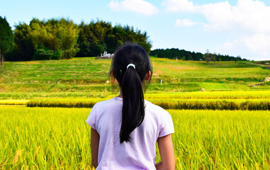 田んぼを見つめる女の子
