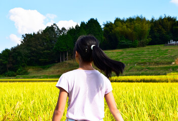 田んぼを見つめる女の子