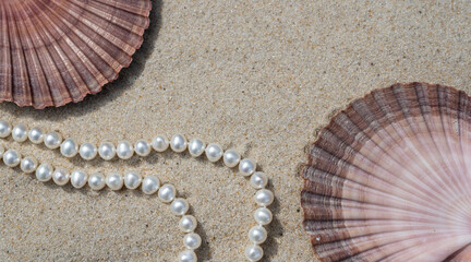 Pearls in the sand with two Mexican flat scallop shells and space for copy.