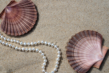 Pearls in the sand with two Mexican flat scallop shells and space for copy.